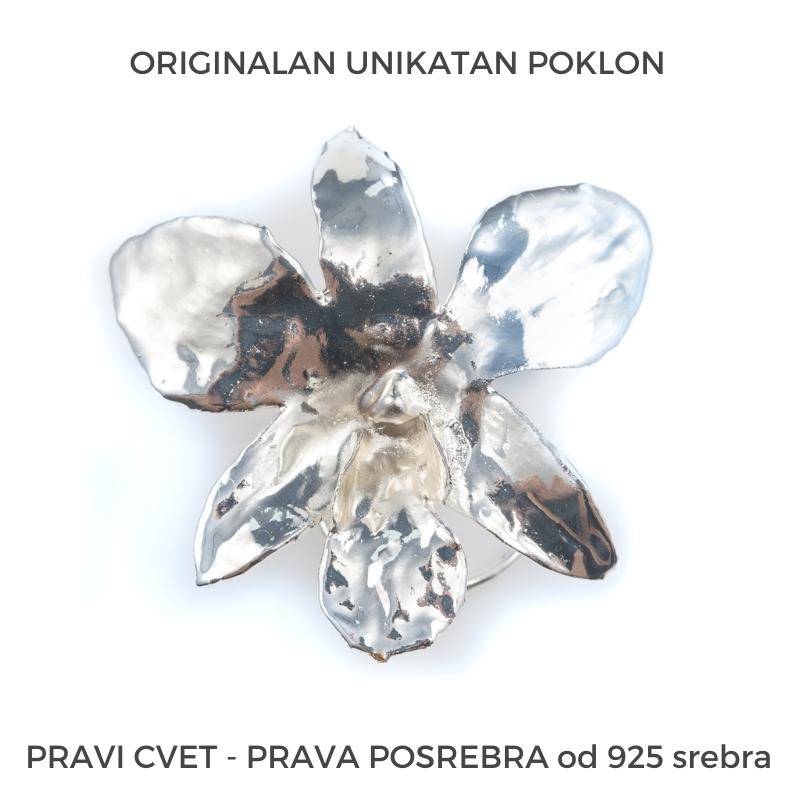Lux pokloni-srebrna orhideja cvet-posrebra-925 srebra-poklon za nju-zenu-devojku-mamu-svadbu-8 mart-nova godina-Beograd-golden roses-Lady-gift box